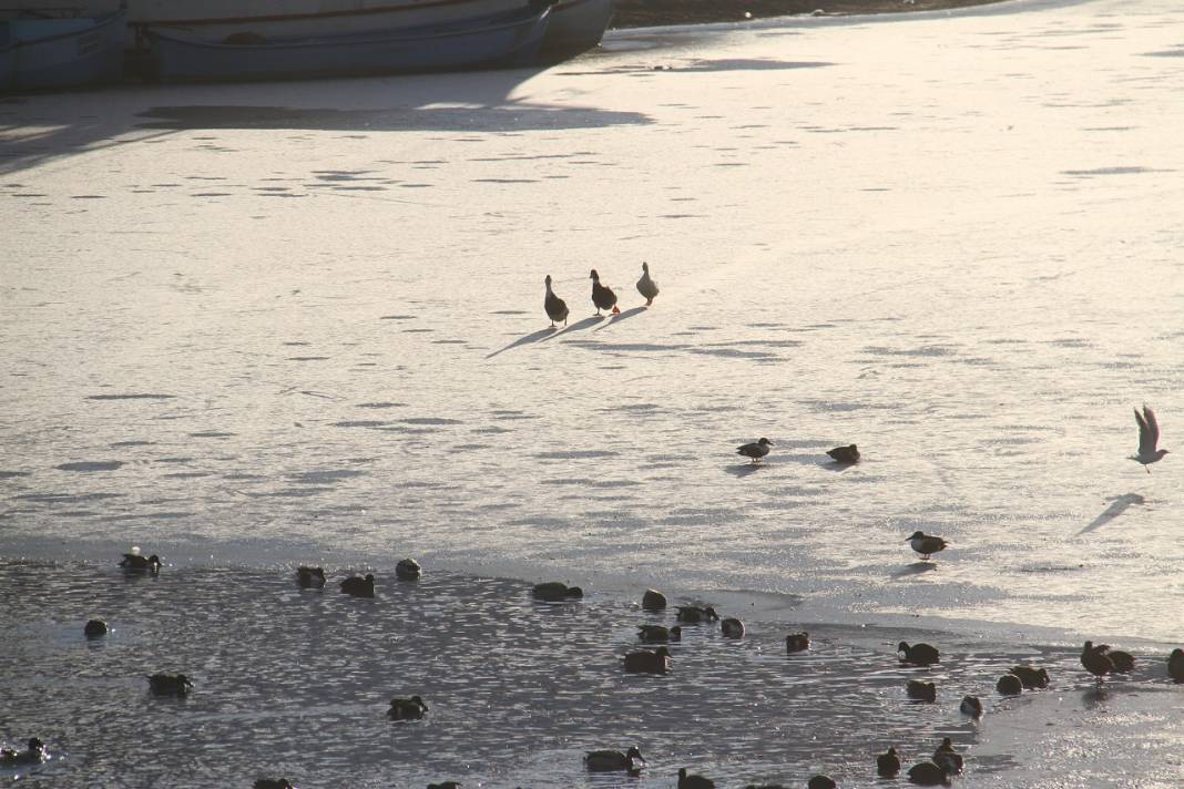 Beyşehir Gölü'nde dondurucu soğuk gölü kilitledi 2
