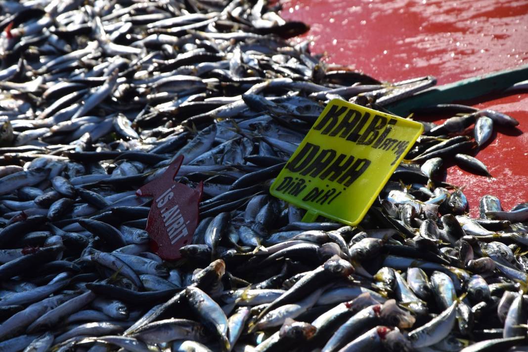 Konyalı pazarcı: 10 liraya satıyoruz almıyorlar, 50 liraya satıyoruz pahalı diyorlar! 1