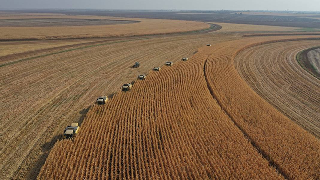 Karlar eriyor, Konya'yı besleyen göller doluyor 7