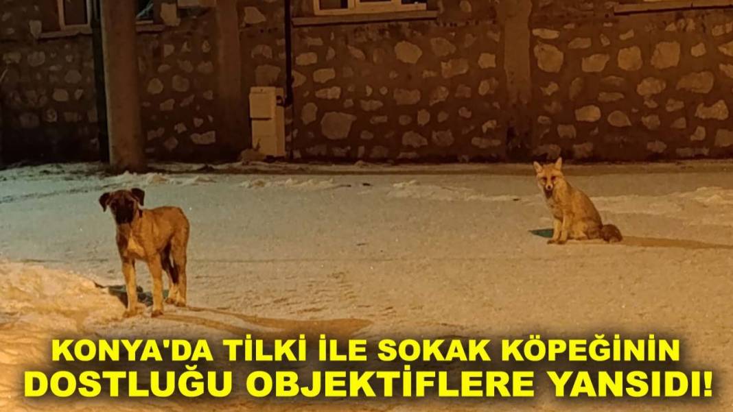 Konya'da bugün neler oldu? Neler oldu neler... 3 Şubat 2026 12