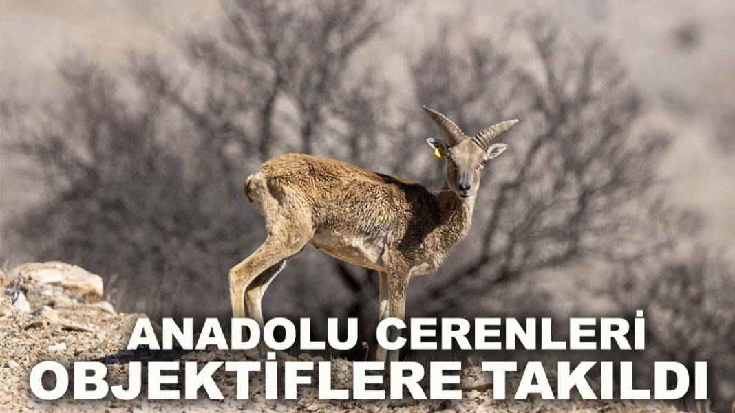 Konya’da bugün neler oldu? İşte 7 Şubat Cumartesi günü dikkat çeken olaylar 3