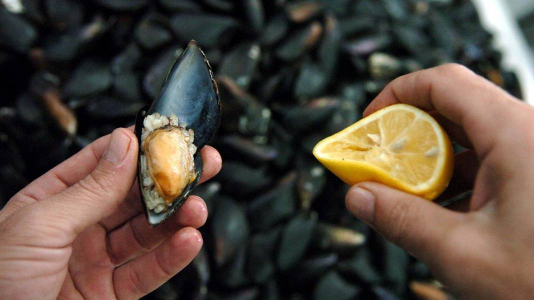 Midye canınızı tehlikeye atabilir! İşte bilmeniz gerekenler... 6