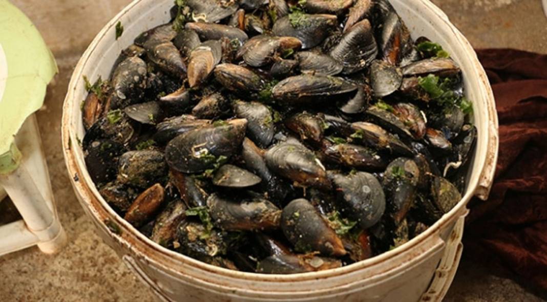 Midye canınızı tehlikeye atabilir! İşte bilmeniz gerekenler... 3