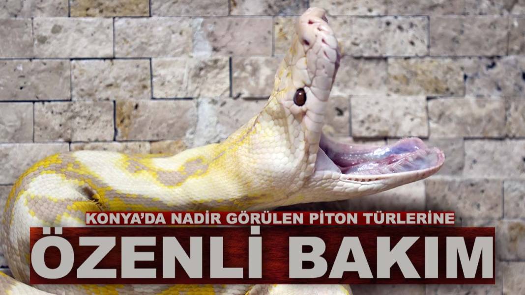 Konya’da bugün neler oldu? İşte 9 Mart Pazartesi günü olup bitenler… 7