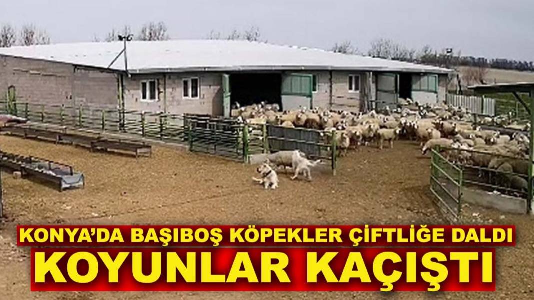 Konya’da günün nabzını tutan haberler belli oldu 10