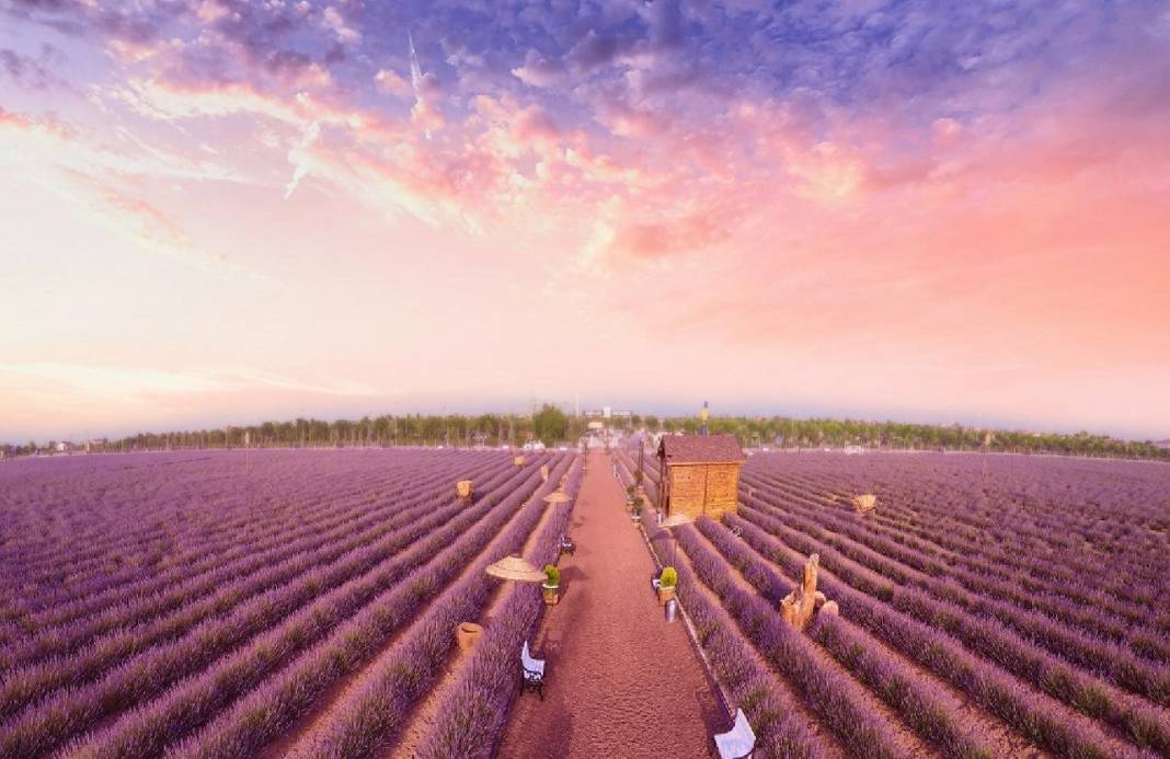 Konyalılar için bayram rehberi: Trafikten kaçın buralarda eğlenceyi yakalayın! 5