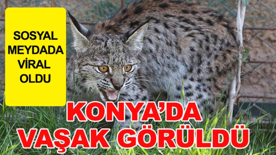 Konya’da günün nabzını tutan haberler 4