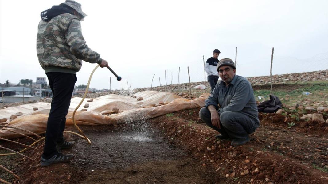 Uzmanından kritik uyarı: Tarım ilaçları nefes kesiyor! 4