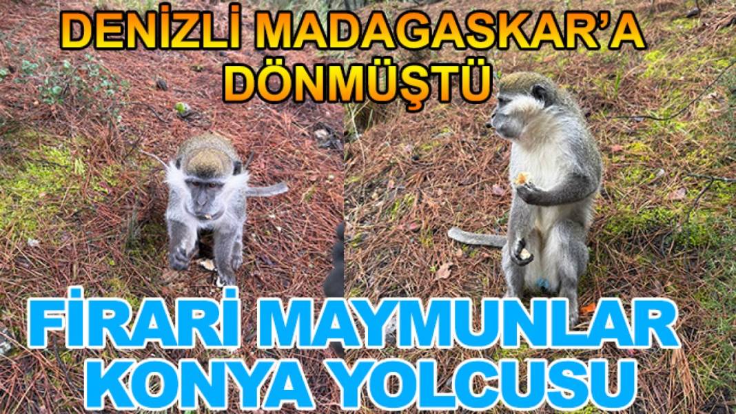 Konya'da bugün neler oldu? Neler oldu neler... 2 Nisan 2026 7