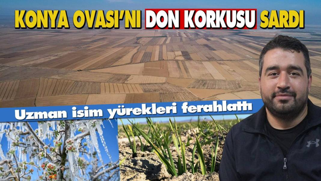 Konya'da son 24 saatte neler oldu? İşte 6 Nisan Konya gündemi... 14