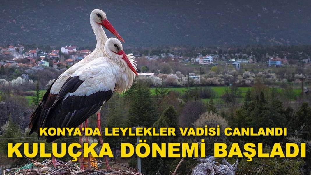 Konya’da bugün neler oldu? İşte 18 Nisan Cumartesi günü olup bitenler… 4