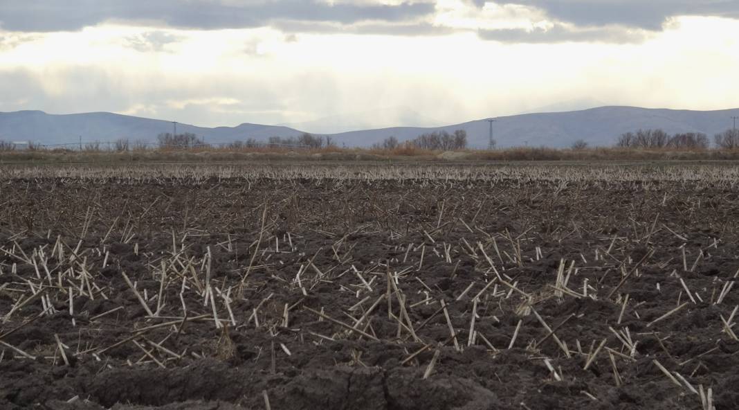 Konya Ovası'nı don korkusu sardı! Uzman isim yürekleri ferahlattı 4