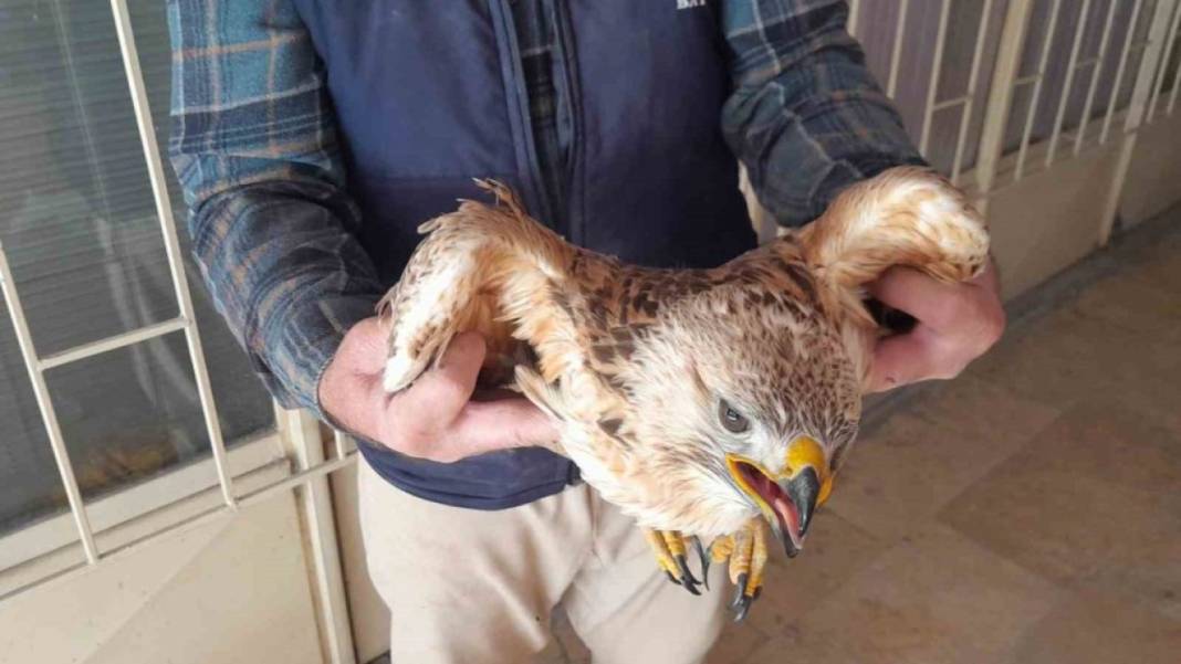 Konya bugün bunları konuşuyor! 4