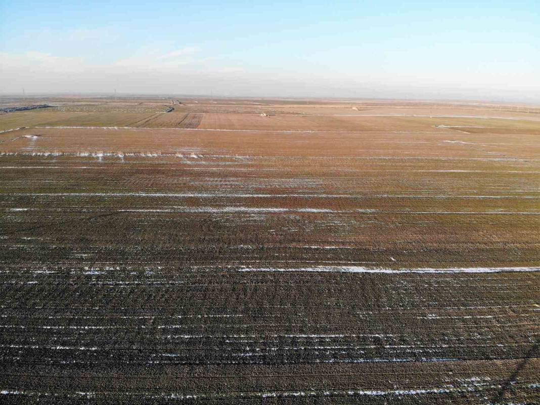 Konya Ovası'nı don korkusu sardı! Uzman isim yürekleri ferahlattı 3