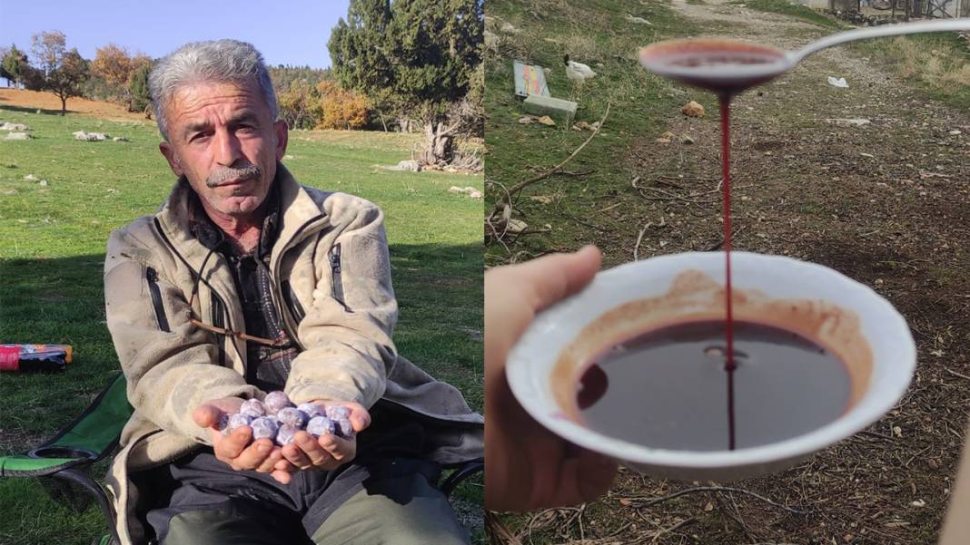 Konya’nın dağlarından topluyor, kaynatınca şifa oluyor 3