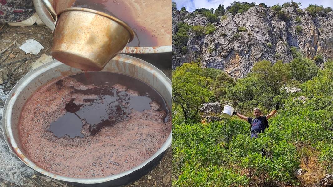 Konya’nın dağlarından topluyor, kaynatınca şifa oluyor 1