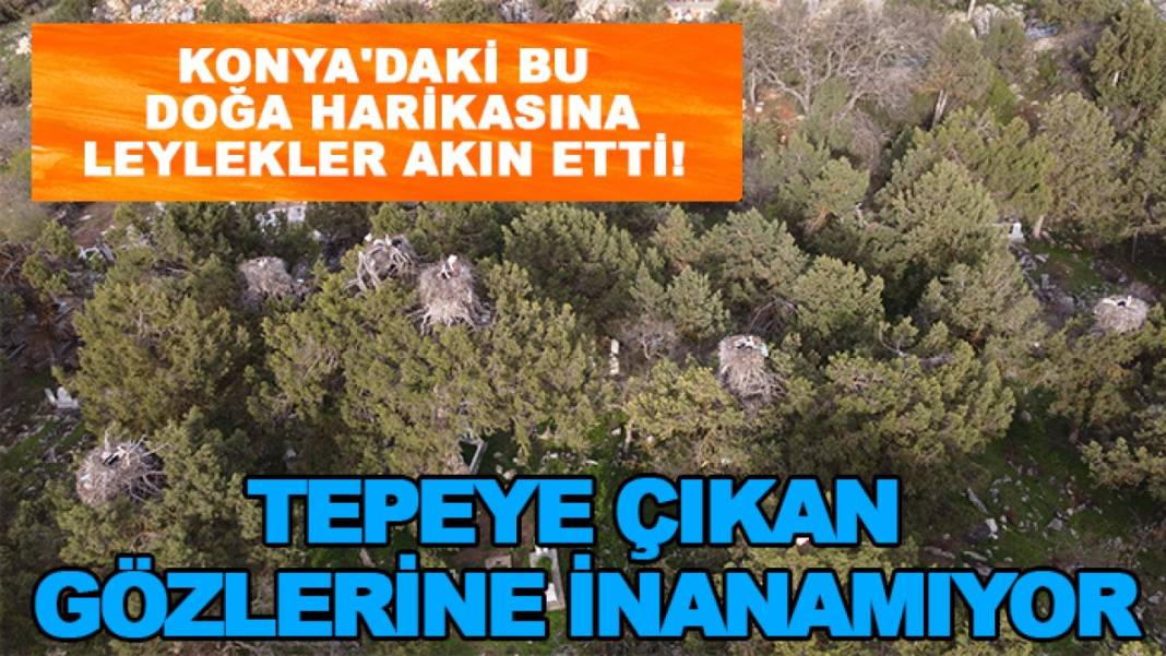 Bir dakikada Konya haber turu 8