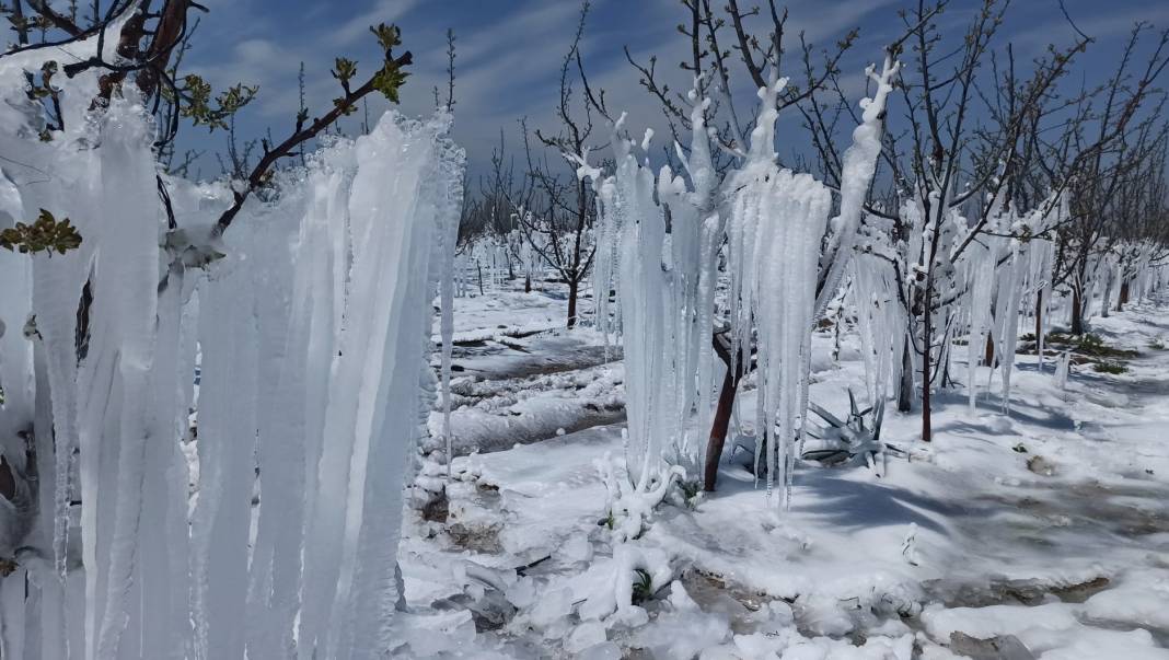 Konya Ovası'nı don korkusu sardı! Uzman isim yürekleri ferahlattı 10