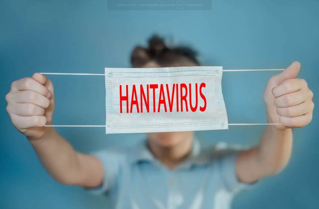 Hantavirüs, dünya için koronavirüs gibi bir tehdit mi? 13