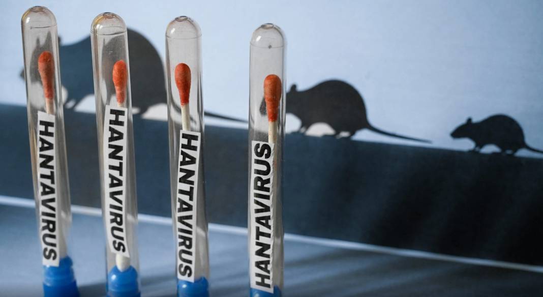 Hantavirüs, dünya için koronavirüs gibi bir tehdit mi? 15