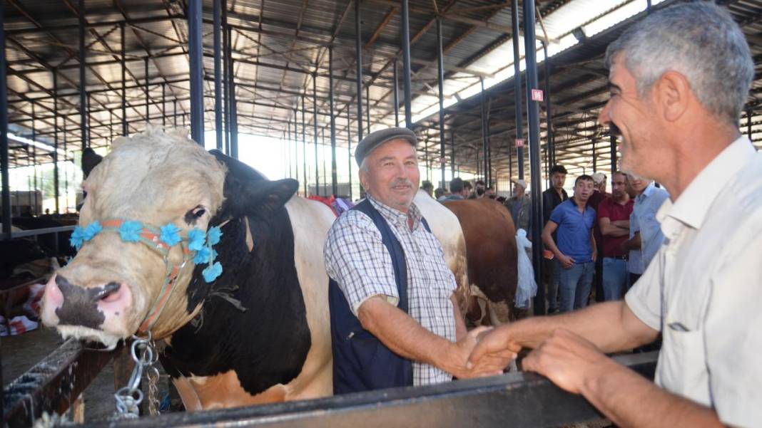 Kurban kestirmek isteyenler dikkat! Vekâlet işte böyle veriliyor 3