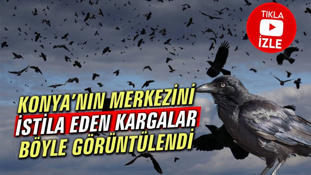 Konya’da bugün neler oldu? İşte 1 Haziran Pazartesi günü olup bitenler… 7