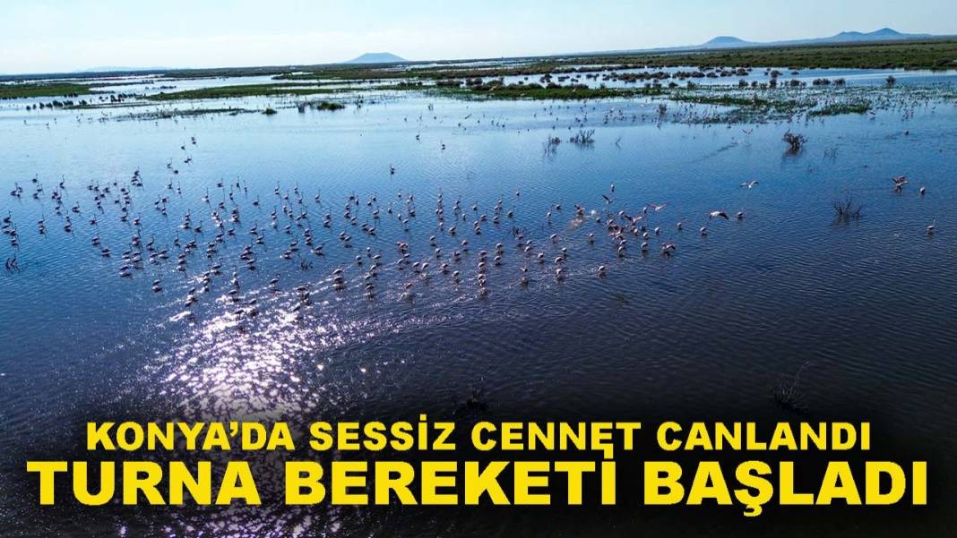 Konya’da 9 Haziran özeti! Günün önemli olayları tek tek sıralandı 9