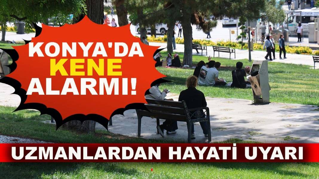 Konya’da bugün neler oldu? İşte 13 Haziran Cumartesi günü olup bitenler… 1