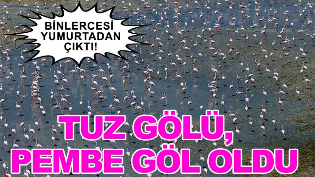 16 Haziran'da neler yaşandı? İşte 24 saatte Konya 9
