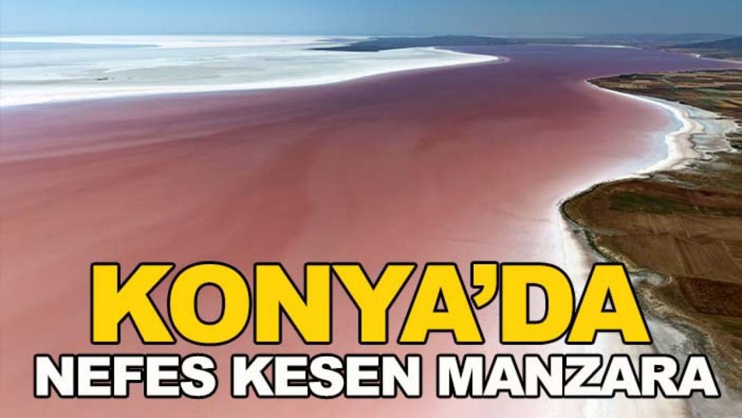 Konya’da bugün neler oldu? İşte 27 Haziran Cumartesi günü olup bitenler… 10