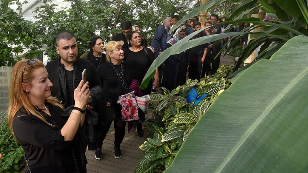 Konya'da yaz mevsiminde serinleten en basit aktiviteler! Ucuz, kolay ve ferahlatan 1