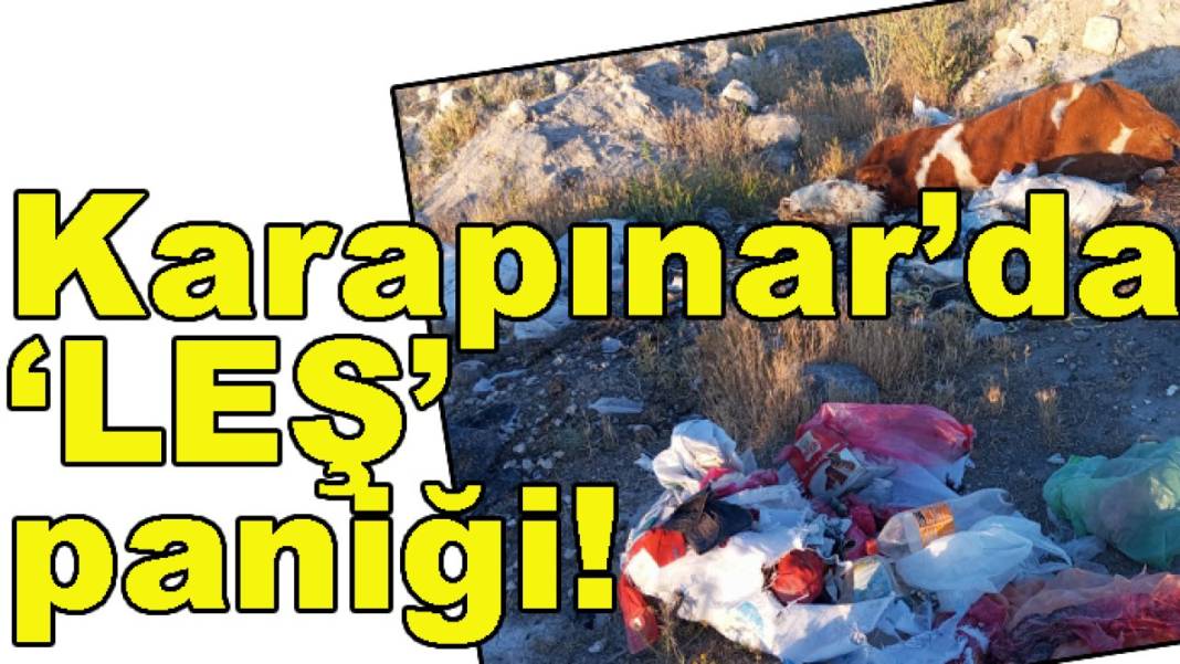 Konya’da bugün neler oldu? İşte 1 Temmuz Çarşamba günü olup bitenler… 5