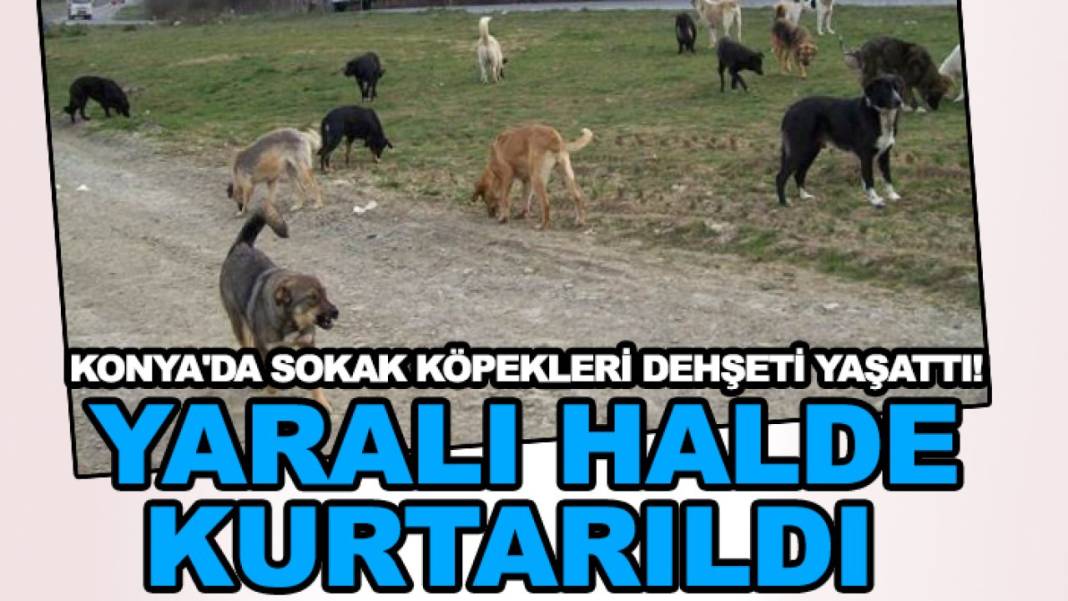 Konya’da bugün neler oldu? İşte 2 Temmuz Perşembe günü olup bitenler… 11