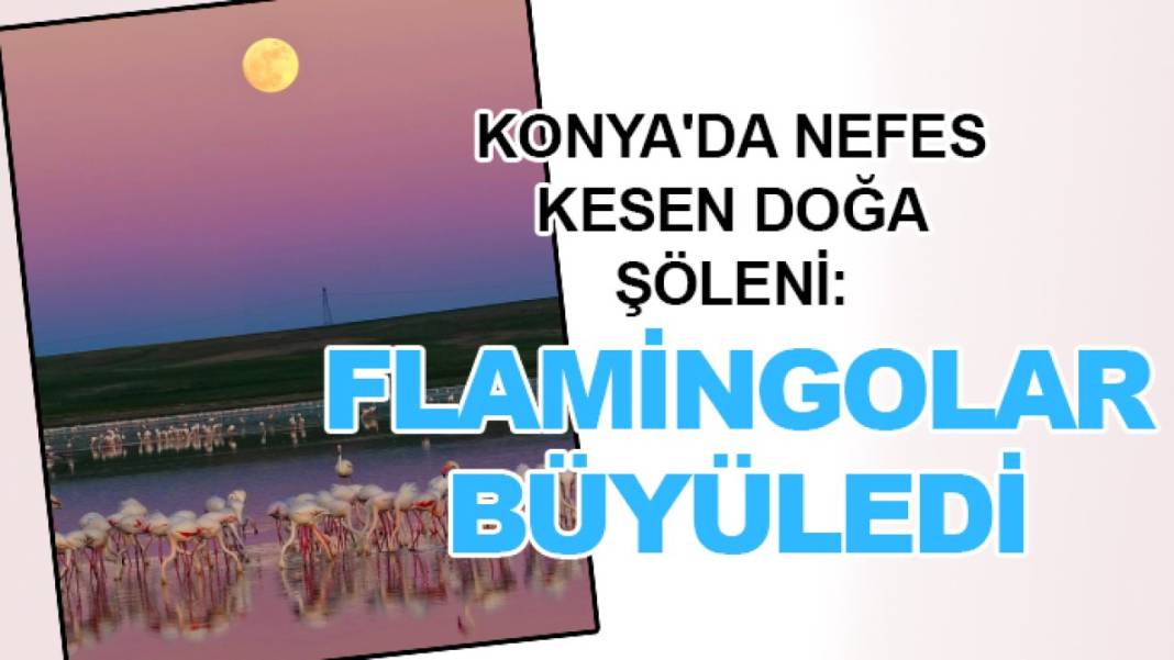 60 saniyede Konya'da bugünün öne çıkanları ( 5 Temmuz) 7