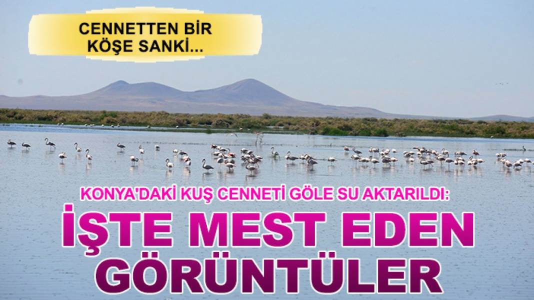 Konya’da bugün neler oldu? İşte 6 Temmuz Pazartesi günü olup bitenler… 3