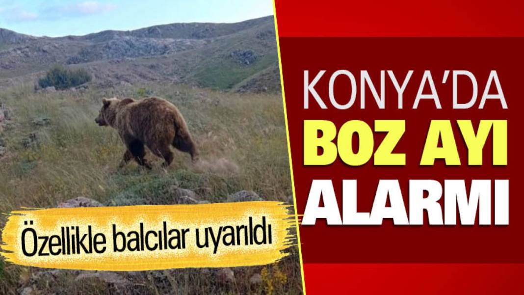 Konya’da bugün neler oldu? İşte 10 Temmuz Cuma günü olup bitenler… 12