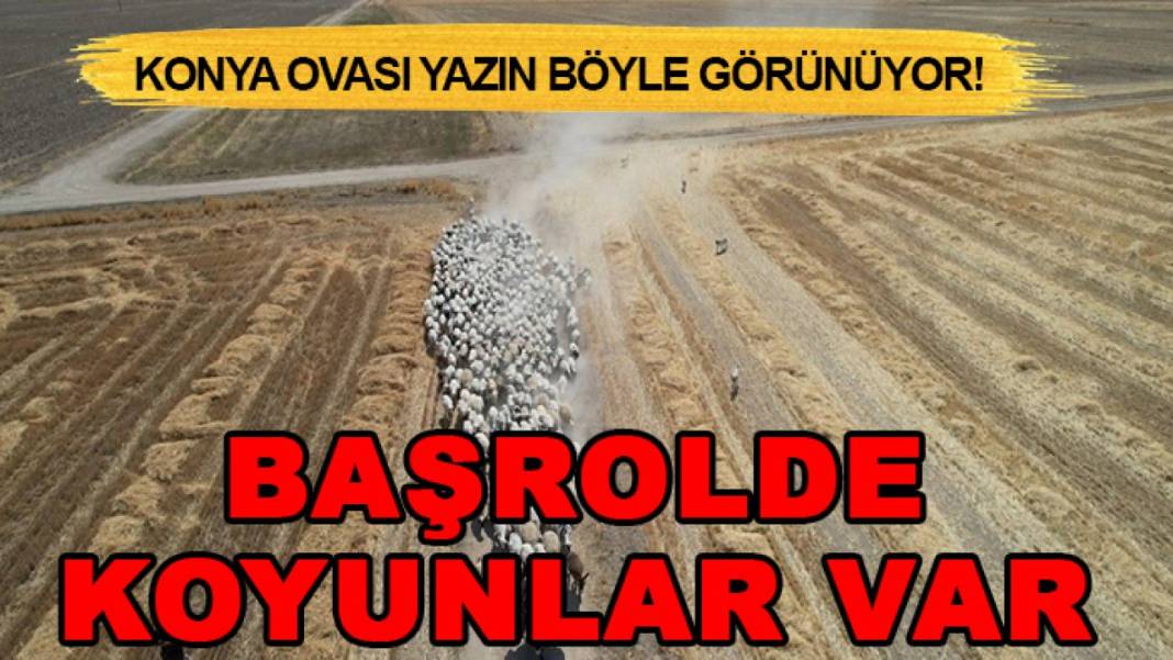 Konya’da bugün neler oldu? İşte 27 Temmuz Pazartesi günü olup bitenler… 4