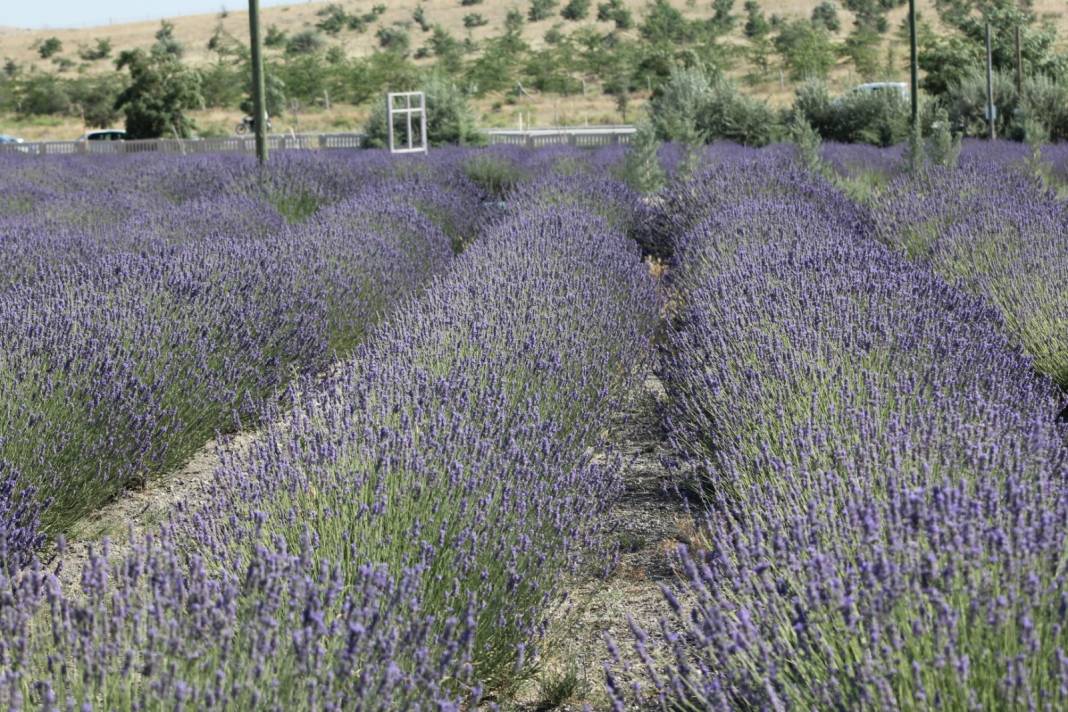 Bir zamanlar çöldü, şimdi Konya’daki önemli bir turizm üssü 5