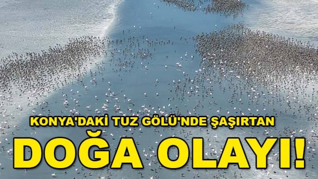 Konya’da bugün neler oldu? İşte 4 Ağustos Salı günü olup bitenler… 5