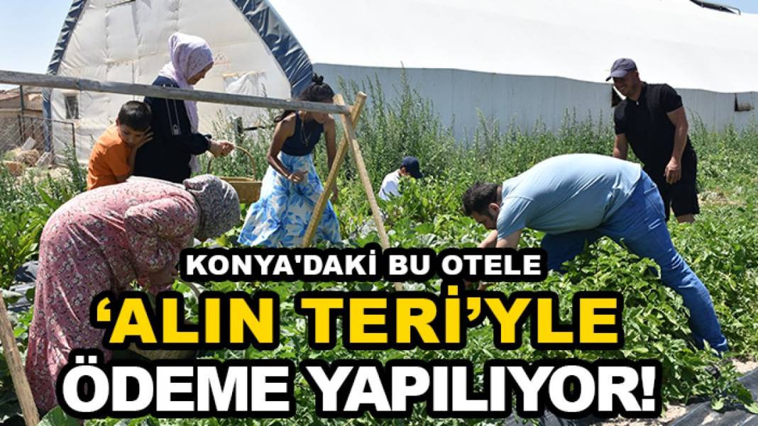 Konya’da bugün neler oldu? İşte 6 Ağustos Perşembe günü olup bitenler… 3