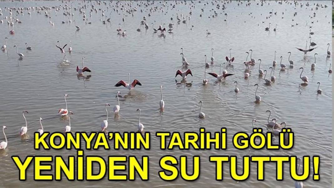 Konya’da bugün neler oldu? İşte 12 Ağustos Çarşamba günü olup bitenler… 2
