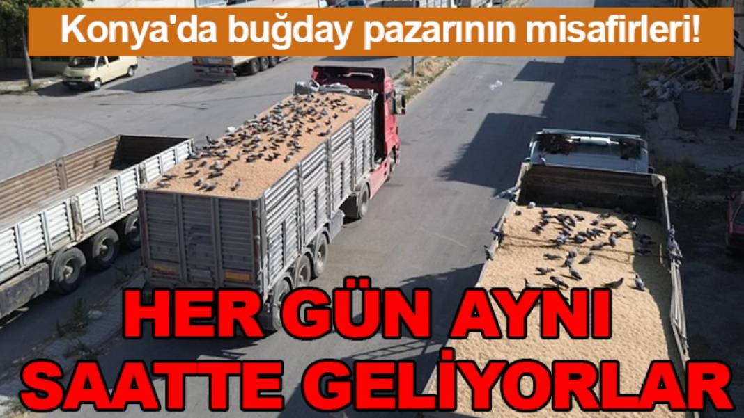 Konya’da bugün neler oldu? İşte 16  Ağustos Pazar günü olup bitenler… 4
