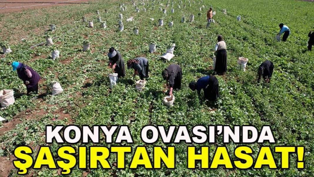 Konya’da bugün neler oldu? İşte 29 Ağustos Cumartesi günü olup bitenler… 3