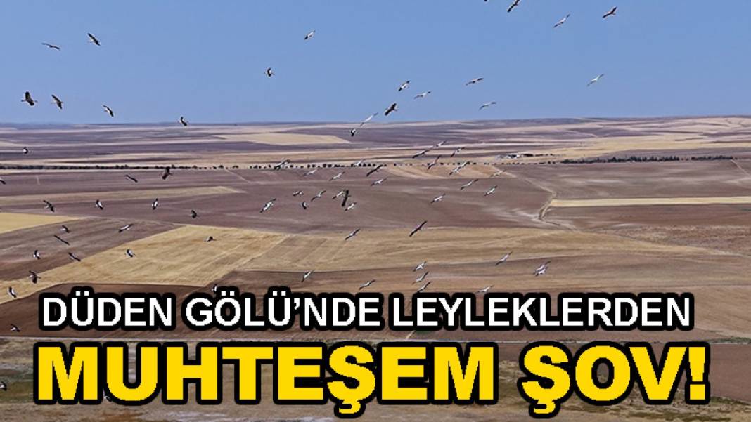 Konya’da bugün neler oldu? İşte 30 Ağustos Pazar günü olup bitenler… 8