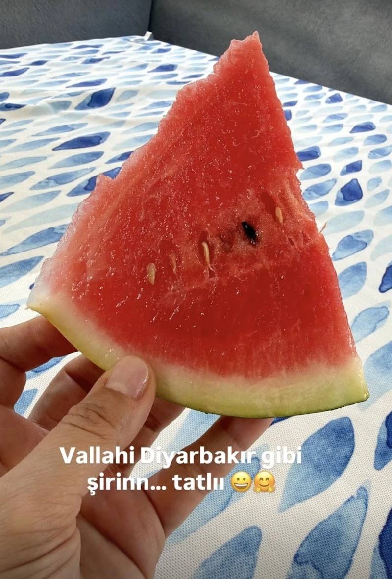 Diyarbakır karpuzunu 'Ebru Yaşar' için harekete geçirdiler 5
