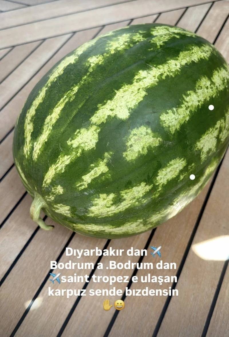 Diyarbakır karpuzunu 'Ebru Yaşar' için harekete geçirdiler 4
