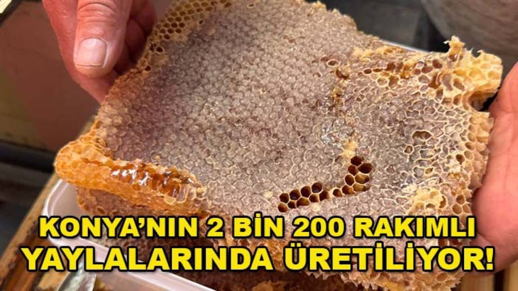 Konya’da bugün neler oldu? İşte 16 Eylül Çarşamba günü olup bitenler… 6