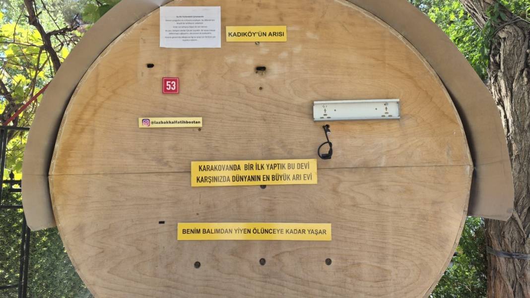 Arıları üşümesin diye bakın ne yaptı! 1