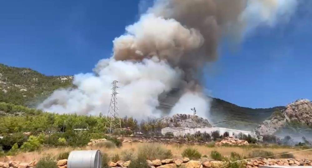 Alevler hızla yayılıyor! Mersin’de ekipler alarma geçti 3