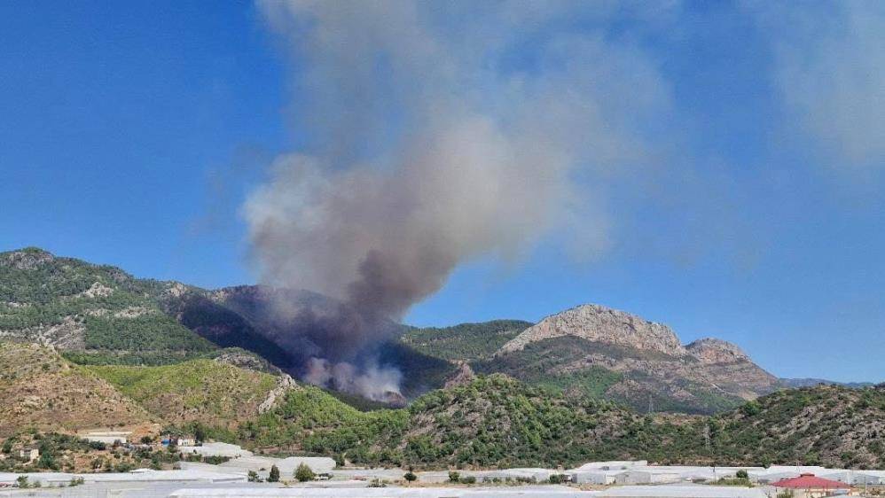 Alevler hızla yayılıyor! Mersin’de ekipler alarma geçti 2